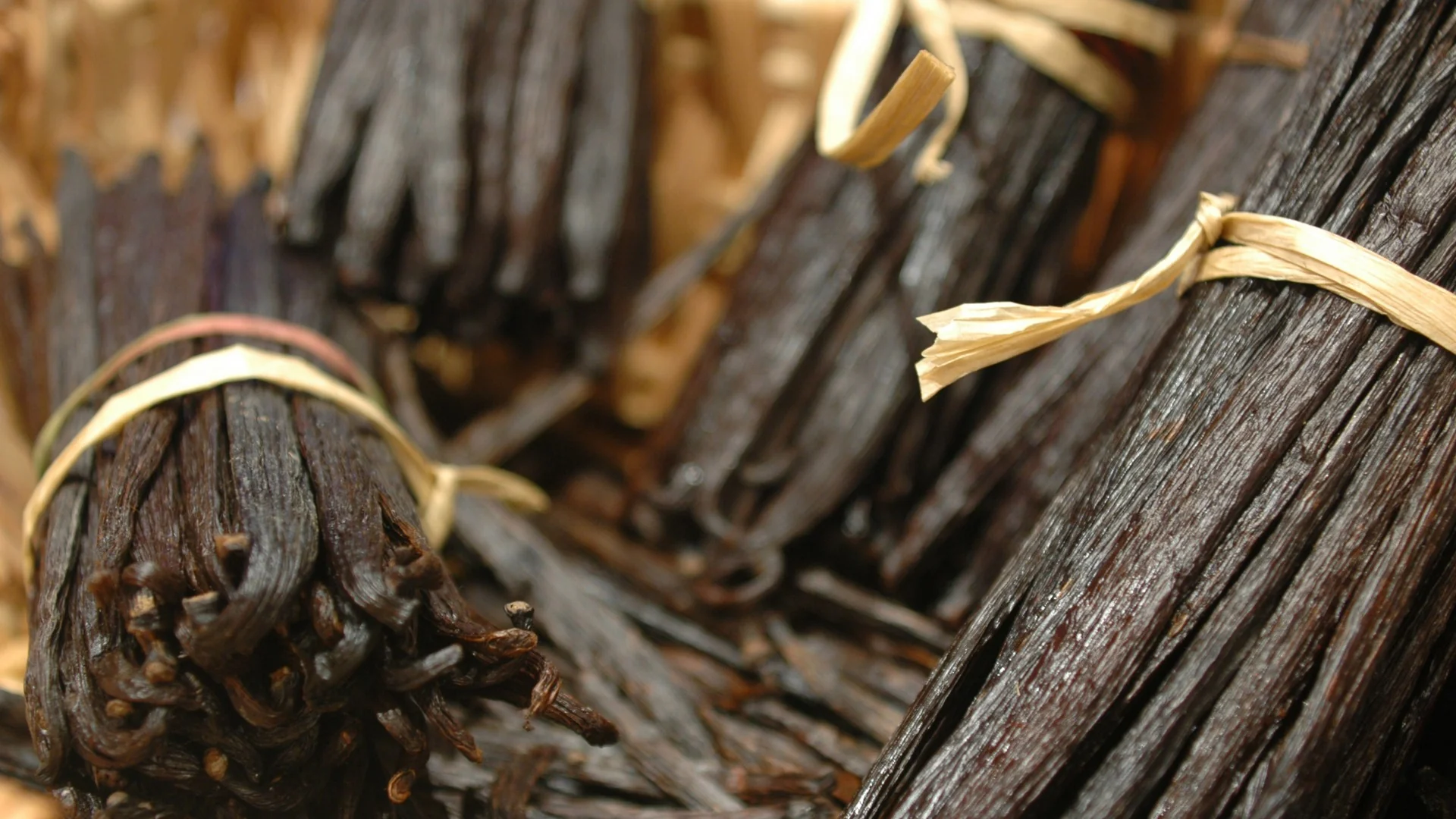 Tahitensis Vanilla