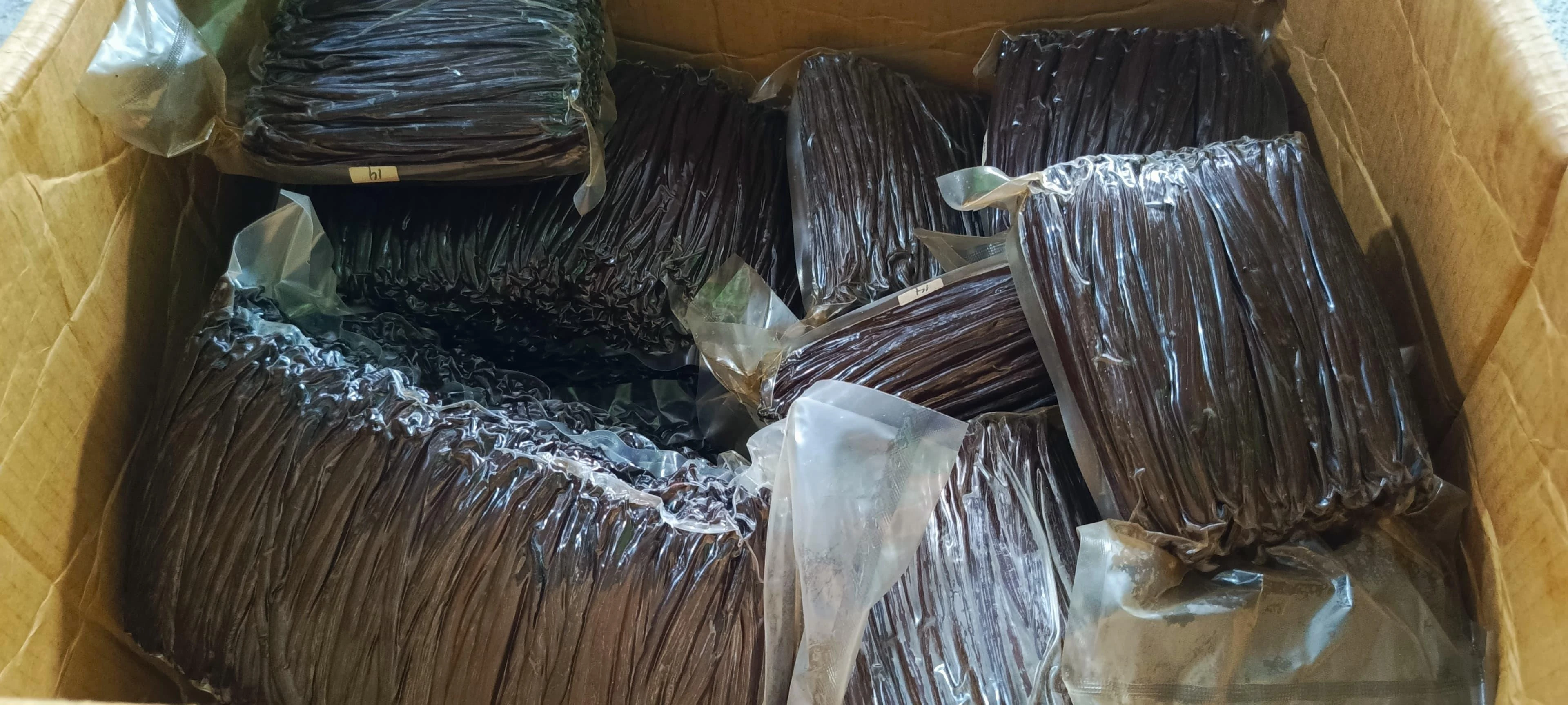 Master export cartons packed with vacuum-sealed bundles of graded Indonesian vanilla beans ready for export
